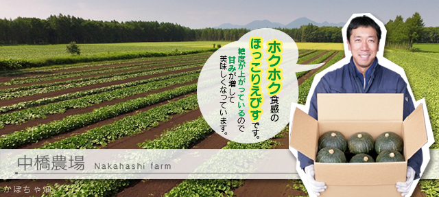 中橋農場かぼちゃヘッダー