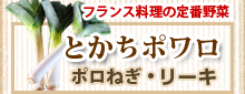 北海道十勝産ポロねぎ　販売