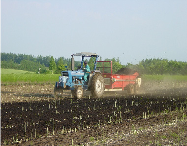 たけなかファームのこだわり とかちポワロー（リーキ、ポロねぎ）販売