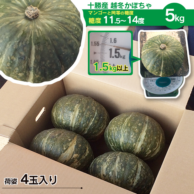 麦感祭にしなか農家組　5kg【　】　糖度11～14度!　十勝産越冬かぼちゃ