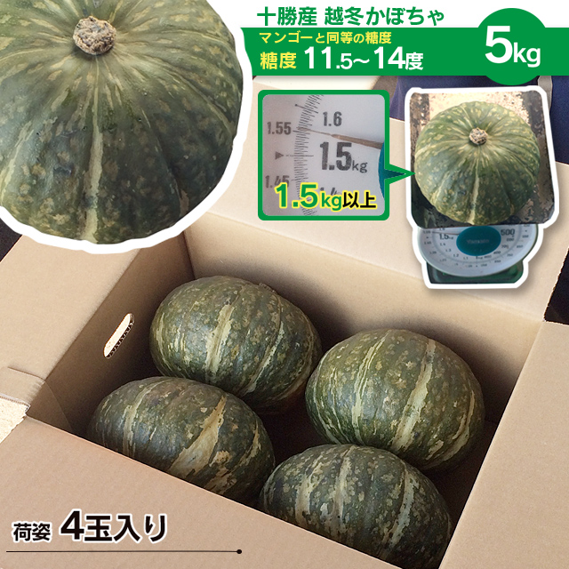 糖度11 14度 十勝産越冬かぼちゃ 5kg 麦感祭にしなか農家組 糖度11 14度 十勝産越冬かぼちゃ 5kg 麦感祭にしなか農家組